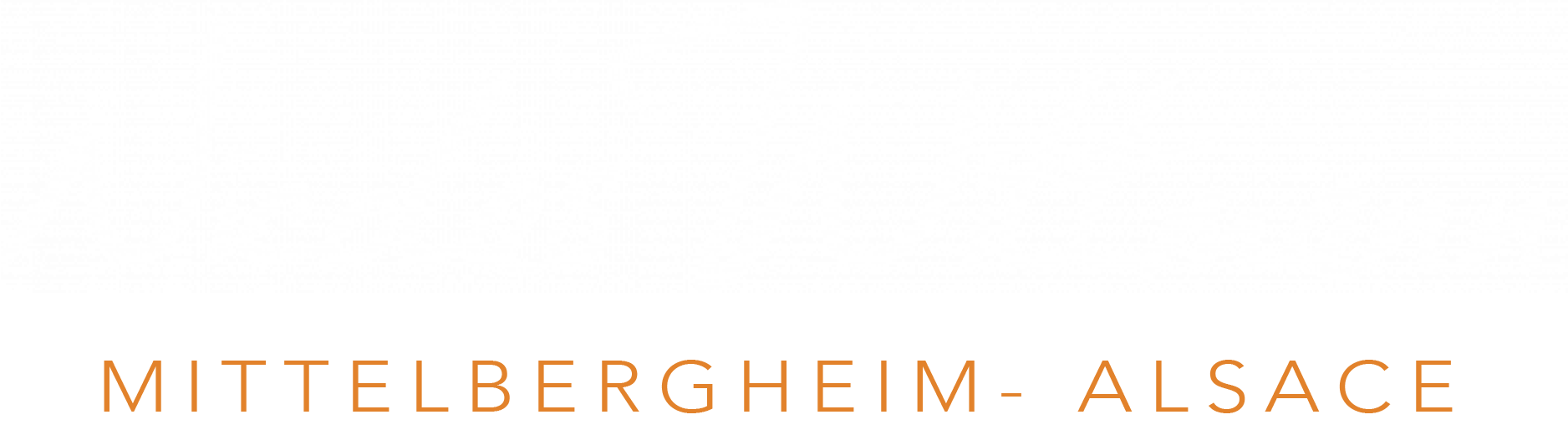 Boutique Domaine Wittmann